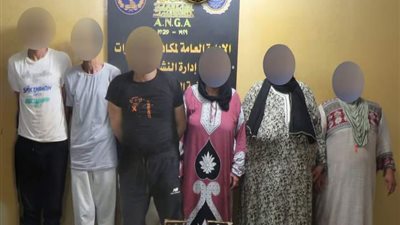 ضبط تشكيل عصابي بحوزته مخدرات بـ مليون جنيه 