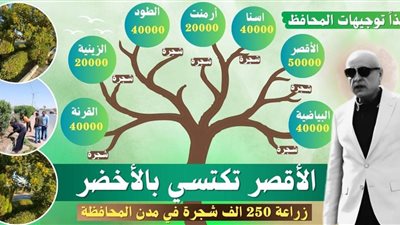 الأقصر تكتسي بالأخضر بزراعة 250 ألف شجرة كافة مدن المحافظة 