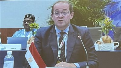 كجوك: التغيرات المناخية تمثل تحديًا كبيرًا أمام التنمية خاصة في القطاع الزراعي