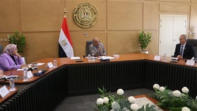 وزير الكهرباء:الانتهاء من مشروع الربط المصرى السعودى ضمن أولويات العمل