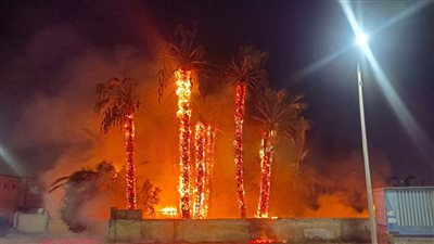 عاجل.. حريق في ساحة أشجار لدار مسنين بالسويس