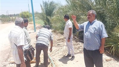 إزالة خط مياه غير مرخص يستخدم في رى الزراعات بقنا 