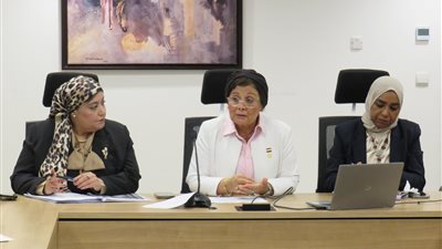 عبلة الألفي: الصحة الإنجابية وتنمية الأسرة أولوية للدولة المصرية