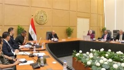 وزير الكهرباء: الربط الكهربائي المصري السعودي يبدأ مطلع الصيف المقبل
