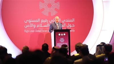أبو الغيط: تحية للشباب الفلسطيني الذي يواجه جبروت الاحتلال
