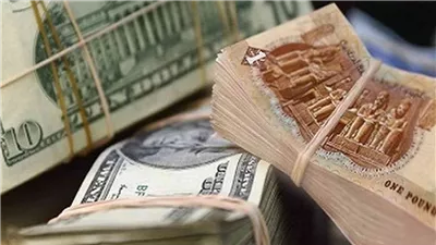 تحركات هادئة بعد قرار الفائدة.. أسعار العملات أمام الجنيه اليوم الأحد 28 ديسمبر