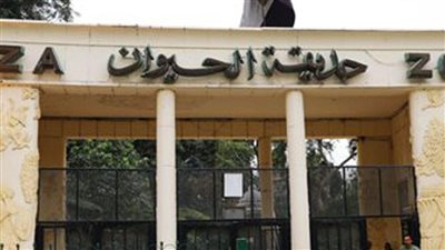 حدائق الحيوان في ثوب جديد.. وزيادة 30% في أعداد الزوار