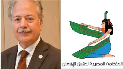 رئيس المنظمة المصرية للحقوق الإنسان يرحب بالإفراج عن عدد من المحبوسين
