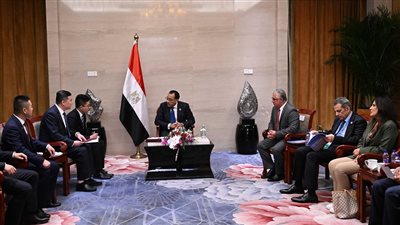 رئيس الوزراء يلتقى رئيس مجلس إدارة مجموعة 