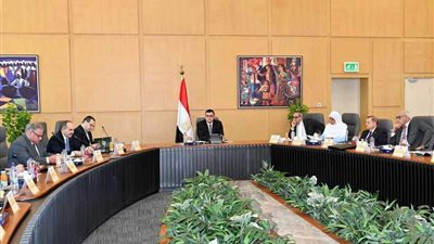 رئيس شركة 