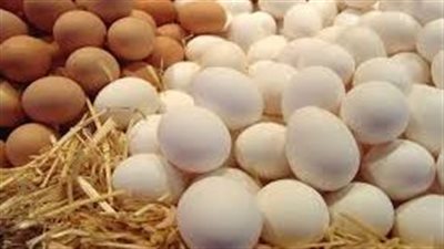 حقيقة القبض على محتكري البيض.. اتحاد منتجي الدواجن يكشف التفاصيل