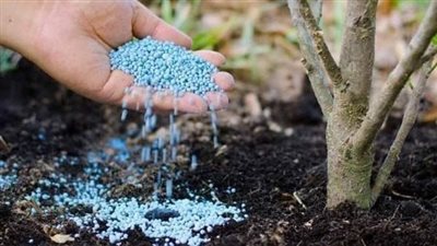 مكافحة التلاعب في توزيع الأسمدة.. الزراعة تمدد فترة صرف الأسمدة لضمان عدالة التوزيع