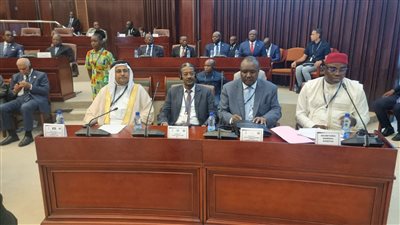 البرلمان العربي يطالب بموقف عربي إفريقي لوقف العدوان الإسرائيلي على غزة