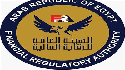 الرقابة المالية تعزز نشاط الشركات المالية في مصر