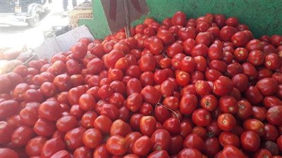 لماذا أوقفت بوركينا فاسو تصدير الطماطم؟