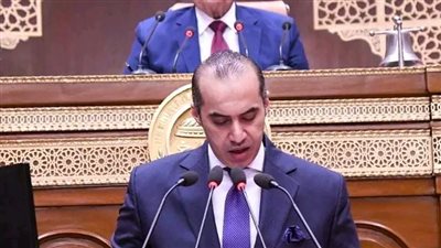 كلمة المستشار محمود فوزي في دور الانعقاد الأخير لمجلس الشيوخ  الفصل التشريعي الأول