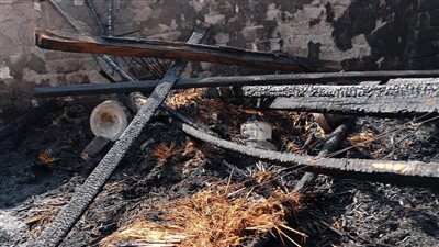 حريق هائل يلتهم مزرعة دواجن بقرية تطاى فى الغربية | صور