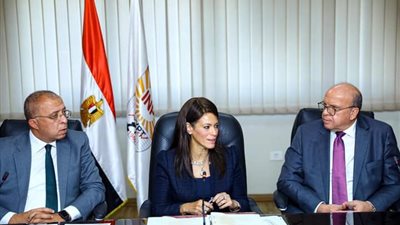 دمج 2 حقيبتين وزاريتين يعزز التخطيط القومي