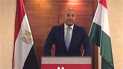 رئيس الجالية المصرية بالمجر: جهود الرئيس السيسي.. حافظت على أمن مصر واستقرارها