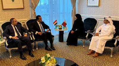 تعاون مصري قطري لمواجهة التحديات الصحية الإقليمية والدولية