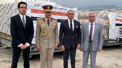وصول شحنة مساعدات مصرية جديدة إلى لبنان وإعادة 304مواطنين إلى أرض الوطن