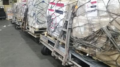 الحفني   : تعاون مع كافة جهات ومؤسسات الدولة المعنية لنقل المصريين الراغبين في العودة من لبنان إلى أرض الوطن.