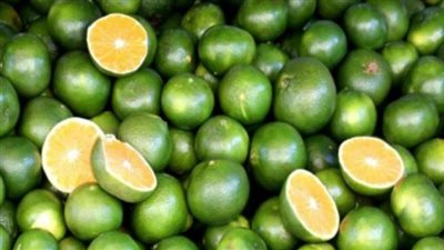 بعد انتشاره بكثرة في الأسواق.. تحذيرات من تناول البرتقال الأخضر
