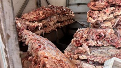 ضبط 5 أطنان دواجن فاسدة في مجازر غير مرخصة بقرية في دمياط 