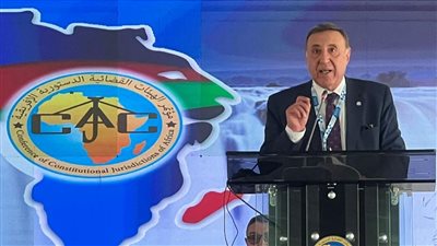 رئيس المحكمة الدستورية: مصر تؤكد التزامها بحماية كرامة الإنسان أفريقيا