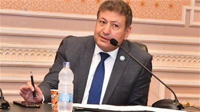 برلماني : نجاح التجربة العمرانية المصرية يفتح آفاق التعاون الدولي والاستثمارات