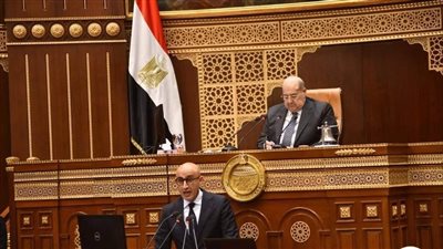 وزير الشئون النيابية: الحكومة حريصة على تنفيذ توصيات الحوار الوطني