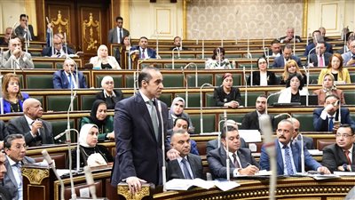 وزير المجالس النيابية: قانون لجوء الأجانب يكفل للاجئين الحقوق وفقا للمعايير الدولية