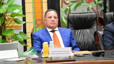 أبو هميلة: إعادة تشغيل مصنع النصر للسيارات ينهض بصناعة السيارات ويعظم الصناعة الوطنية