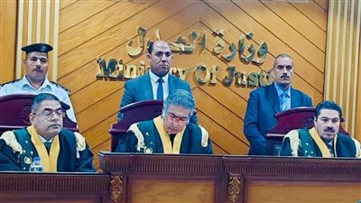 تجديد حبس كادرين من كوادر التنظيم السري لجماعة الإخوان
