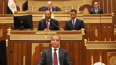 مجلس الشيوخ يناقش تعديلات سجل المستوردين لدعم الاستثمار الوطني