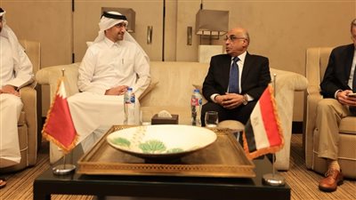 وزير العدل يبحث تعزيز التعاون القضائي العربي بلقاءات ثنائية هامة