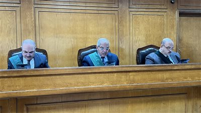 حيثيات سجن طبيب التجمع: اغتصب بناته لإشباع رغباته الجنسية دون مراعاة الكبائر