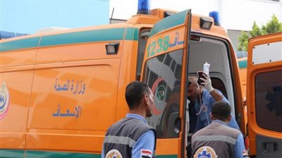 مصرع مسن صدمته سيارة مجهولة في نجع حمادي