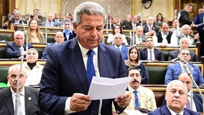 تليجراف مصر في الصدارة ضمن  21 موقعًا إلكترونيًا مُرخّصًا من الأعلى للإعلام