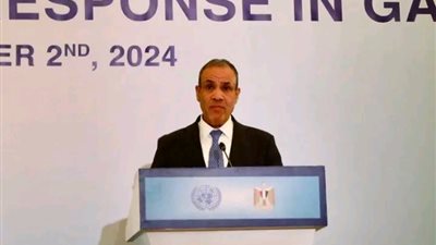 وزير الخارجية: الكارثة الإنسانية في غزة تتزايد بسبب العمليات العسكرية المستمرة