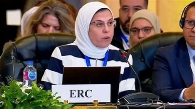 المدير التنفيذي للهلال الأحمر المصري: نكثف جهودنا لتلبية احتياجات الفلسطينيين وتوفير الدعم 