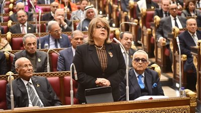 وكيلة الشيوخ: مشروع قانون 