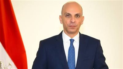 متحدث الخارجية يوضح موقف مصر من التوغل الإسرائيلي في سوريا