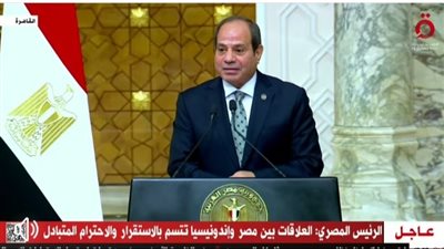 الرئيس السيسي يتفق مع إندونيسيا على إقامة منطقة لوجستية في المنطقة الاقتصادية لقناة السويس