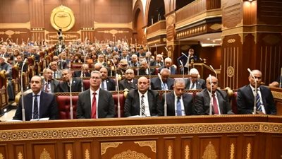 مجلس الشيوخ يحيل طلبي مناقشة عامة حول 