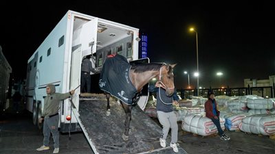 مصر للطيران الناقل الرسمي للبعثة المصرية المشاركة في بطولة قطر الدولية للفروسية
