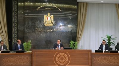 الدولة تتحرك بسرعة لحل أزمة الكهرباء.. ومتحدث الحكومة يكشف التفاصيل