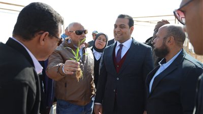 خطوات جادة لتعزيز الاستثمار في الغابات الشجرية وتحقيق تنمية مستدامة بقنا