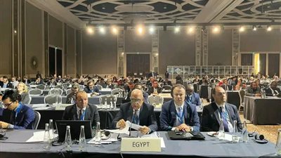 وزير الكهرباء: الطاقة المتجددة هي السبيل لتحقيق التنمية المستدامة