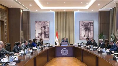 مدبولي: فض التشابكات المالية آلية رئيسية لتعزيز قدرات الجهات المُستحقة للمديونيات على أداء مهامها